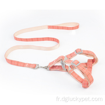 Corde de traction de chien neuve